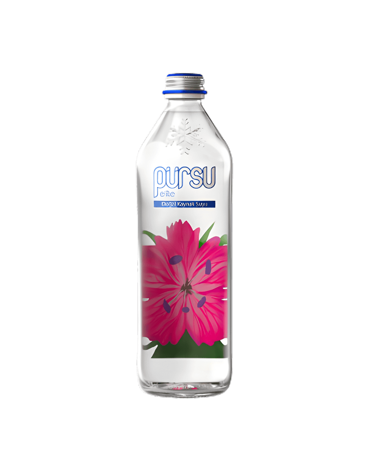 330 ml Cam Şişe